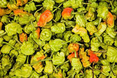 经典街机游戏复活 《打砖块：永恒之战》22年上市